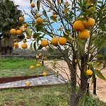 Petrasicula Hébergement de vacances Aci Trezza