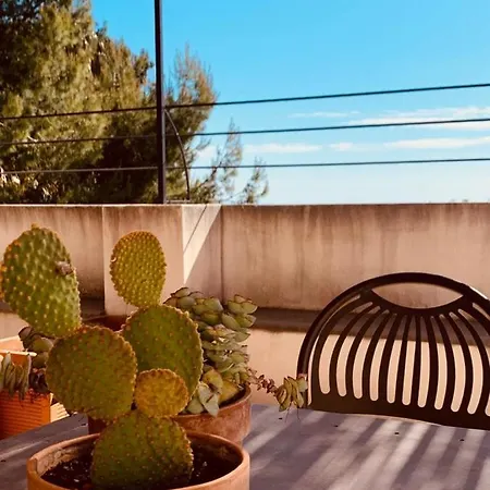Petrasicula Holiday home *